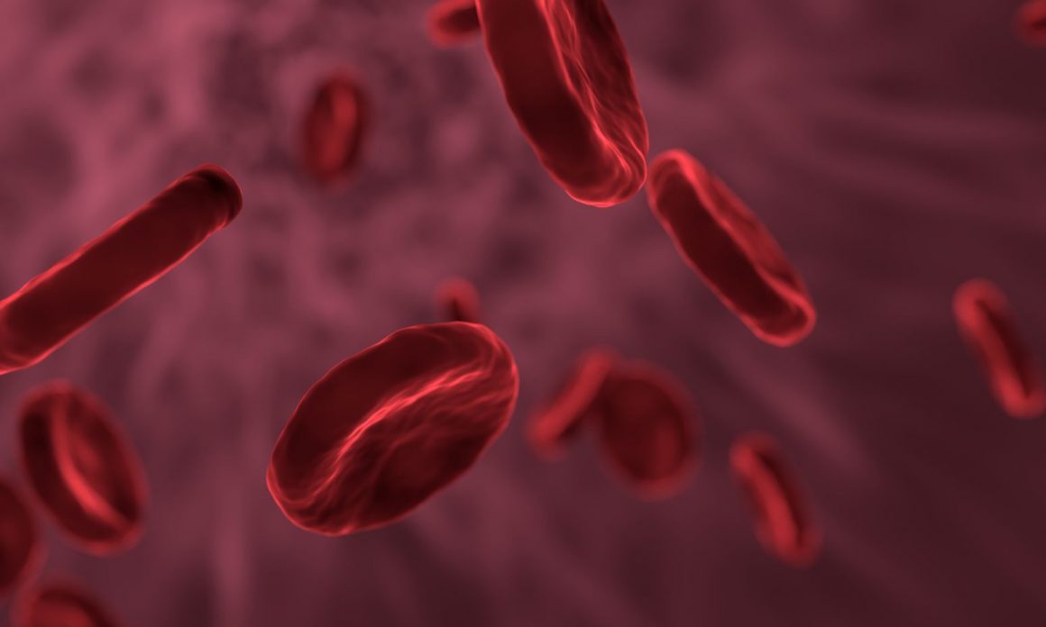 A ferropénia é quase sempre detetada tarde demais. Médica alerta para a importância do diagnóstico