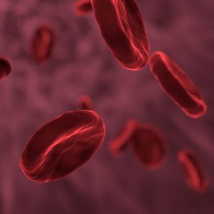 A ferropénia é quase sempre detetada tarde demais. Médica alerta para a importância do diagnóstico